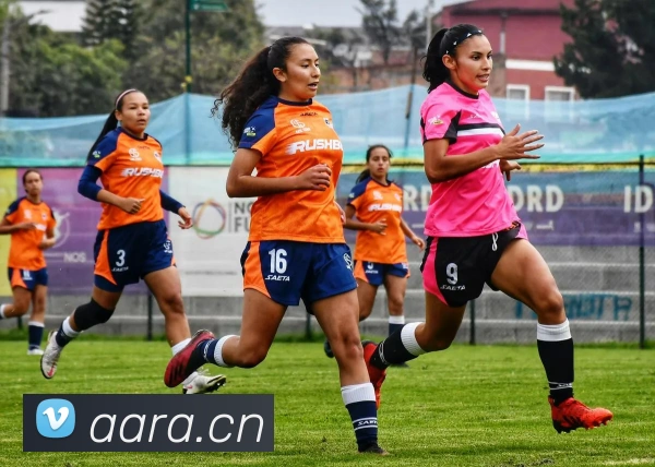 leyu乐鱼在线体育APP 封面图